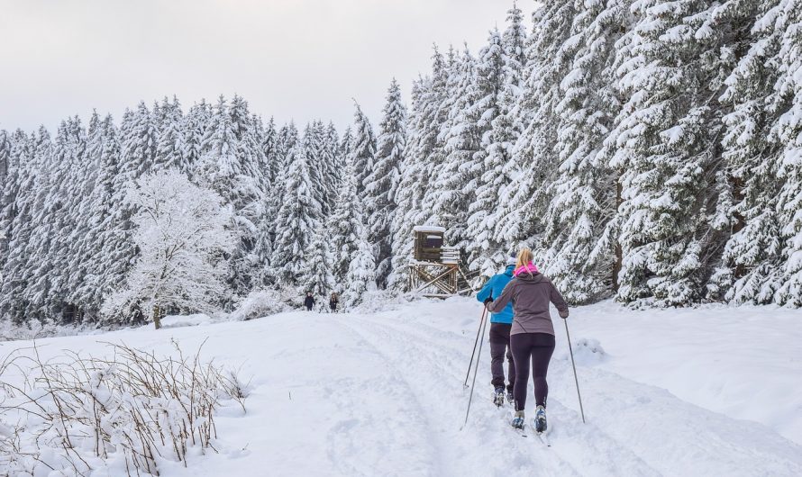 Odpoczynek, atrakcje i natura – wszystko to znajdziesz w Karpaczu