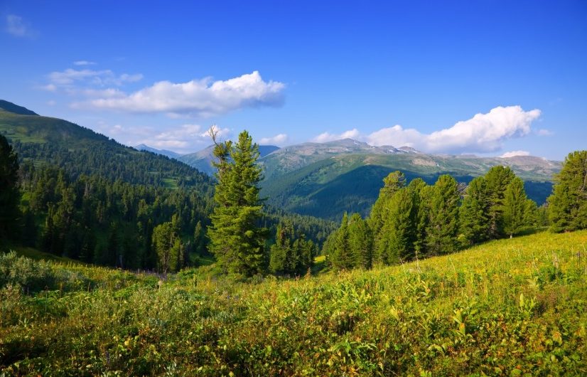 Świeradów-Zdrój Atrakcje – Co Warto Zobaczyć?